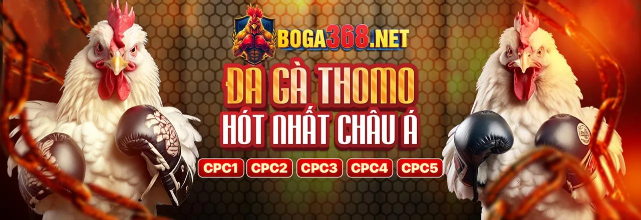 Tin tức jj8 chính thức 2026