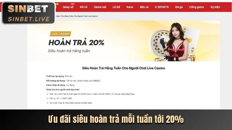 Hoàn trả thua cược hàng ngày jj8 chính thức